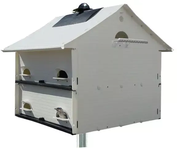 10 Family Martin House – Starling Resistant