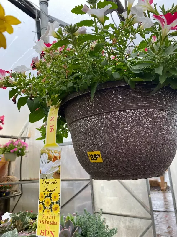 12″ Combo Hanging Basket
