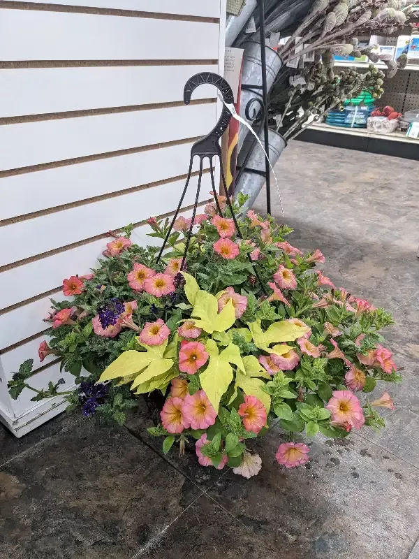 12″ Premium Mixed Basket