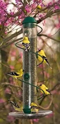 17″ Spiral Sunflower Feeder