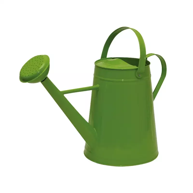 2.1 Gallon Green Metal Traditional Watering Can