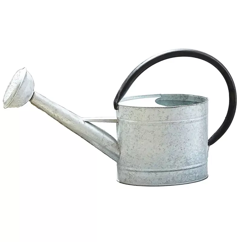 2.1 Gallon Oval Aged Zinc Watering Can