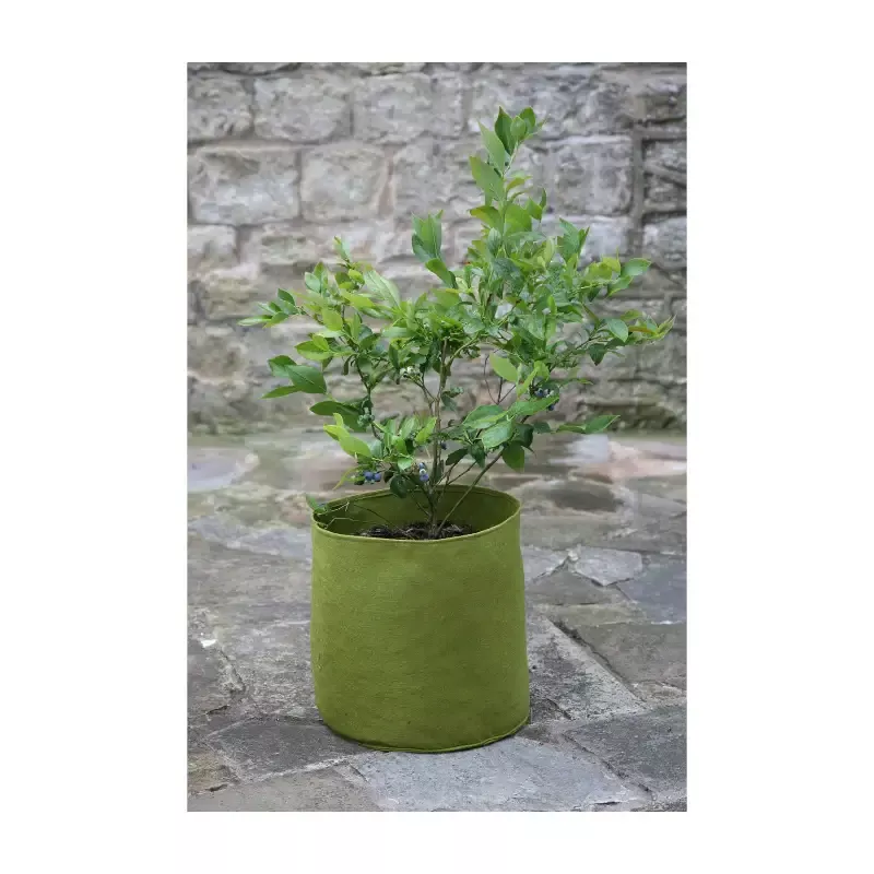 2.6 Gallon Vigoroot Pots 3pk