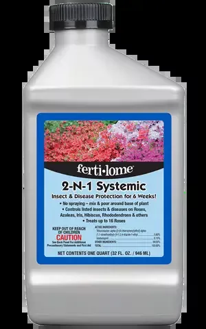 2 N 1 Systemic