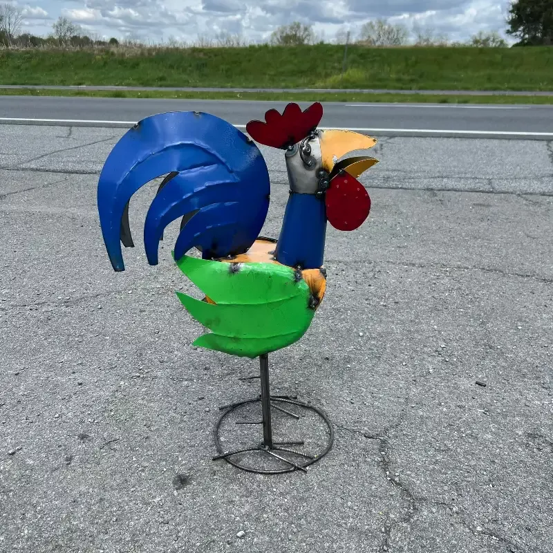 24″ Rooster – 30