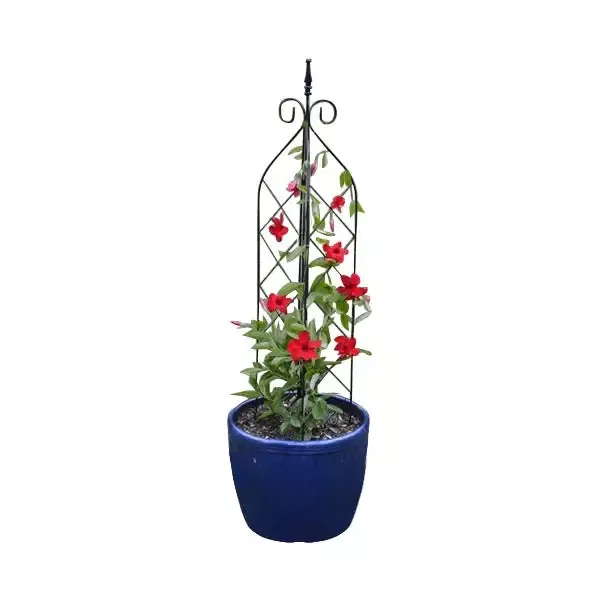 3 Way Diamond Trellis – 4 Sizes Available