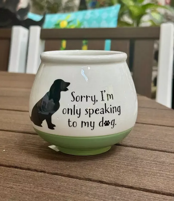 4″ Ceramic Pot – Witty Sayings