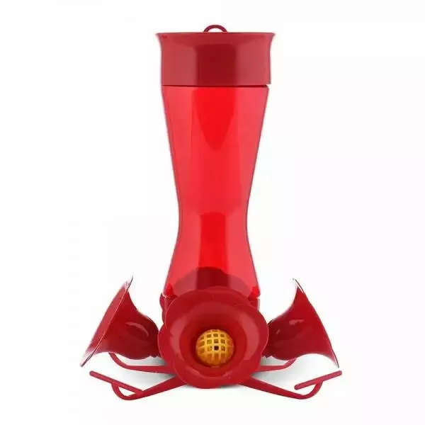 4 Fountain Hummingbird