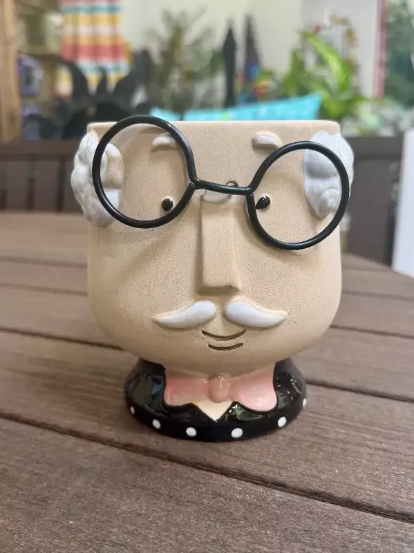 4″ Quirky Guy Succulent Pot