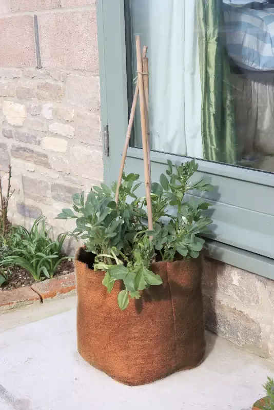 40L Hemp Fibre Planter