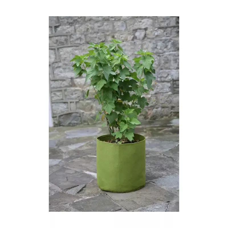 5.3 Gallon Vigoroot Pots 3pk