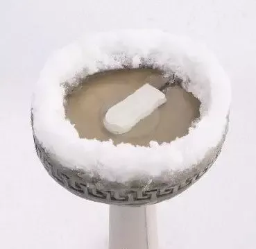 50 Watt Bird Bath Heater-Ice Eliminator