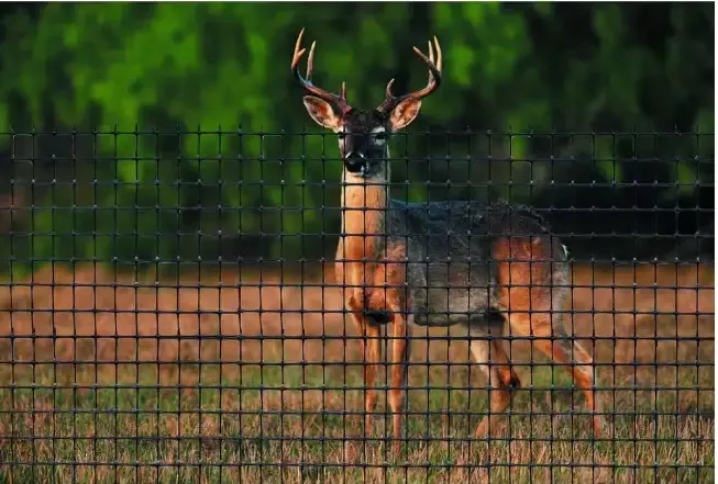 7.5′ x 100′ Deer Fence