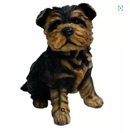 8.1″ Yorkshire Terrier Puppy