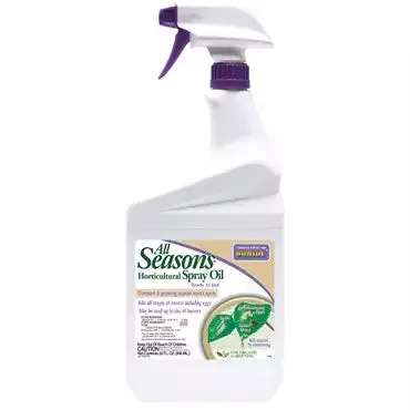 All Seasons Horticultural Spray Oil