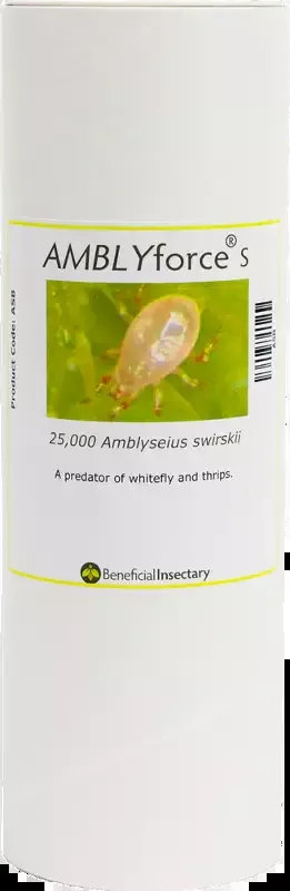 AMBLYforce S with 80% Bran + 20% Verm