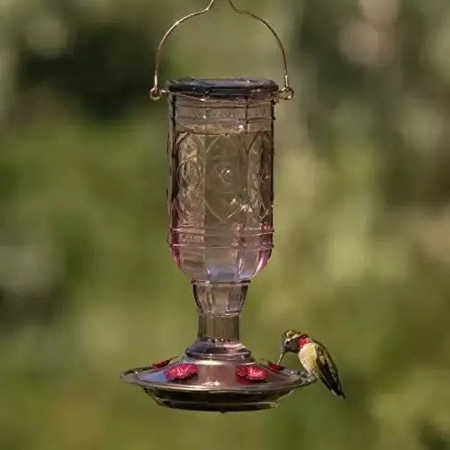 Amethyst Jewel Glass Hummingbird Feeder