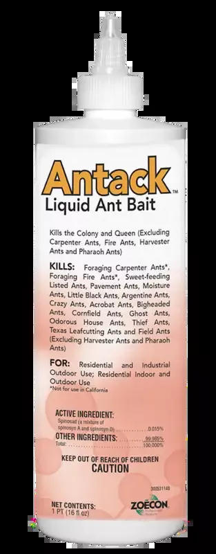 Antack Liquid Ant Bait