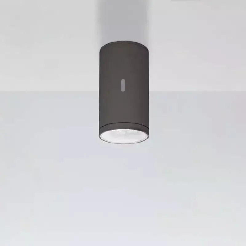 Artemide T419 Calumet LED Outdoor Ceiling Light