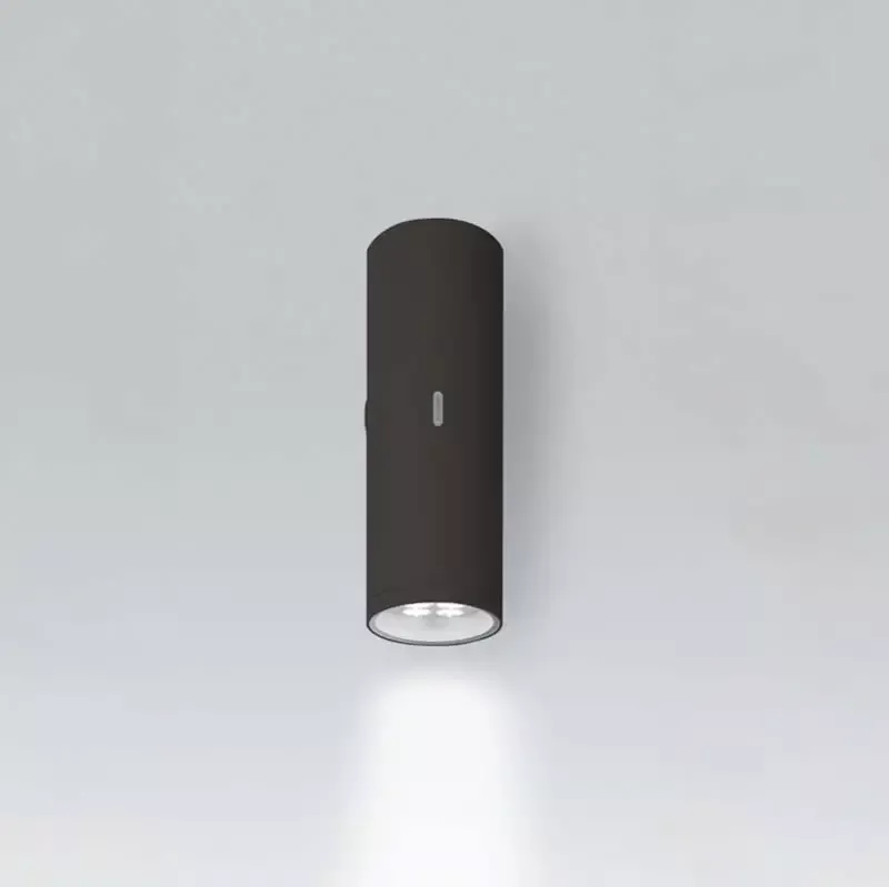 Artemide T4191N Calumet Single Outdoor Wall LED Light