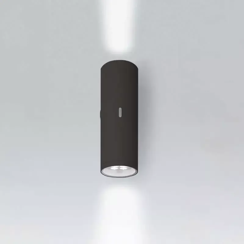 Artemide T4195 Calumet Double Outdoor Wall LED Light
