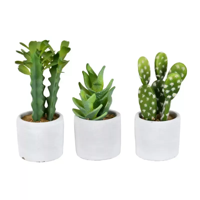 Artificial Plant : Green Potted Cactus Set of 3