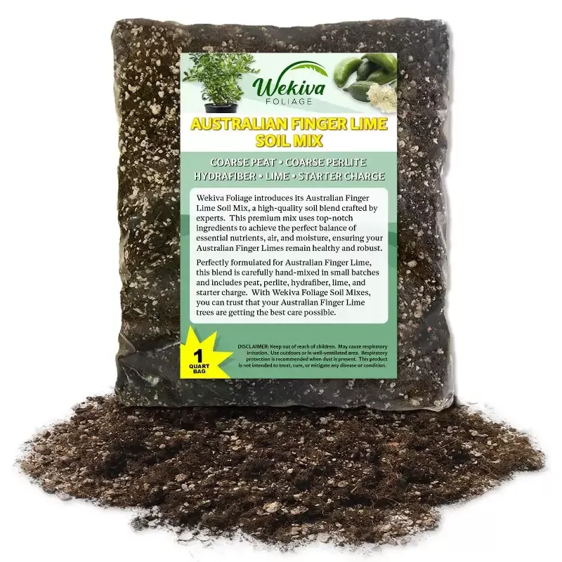 Australian Finger Lime Tree Growing Soil Mix – Custom Soil Blend – Potting Mix for Australian Finger Lime Trees – Developed by and for Professional Nursery Growers – Nutrient-Rich Formula