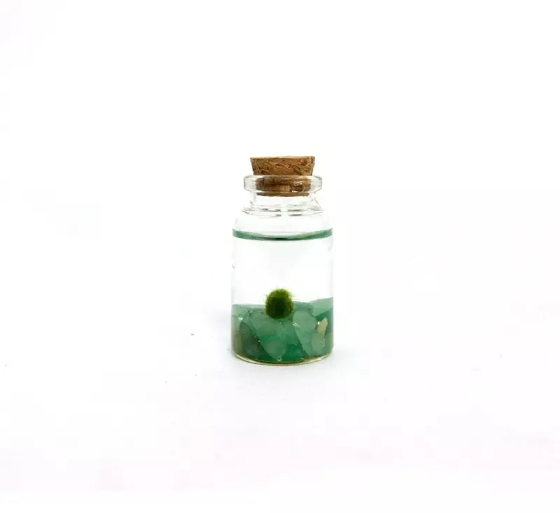 Aventurine Moss Nino