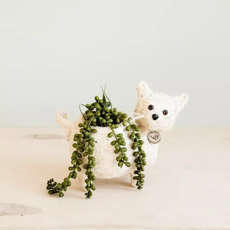 Baby Cat Planter – Handmade Pot