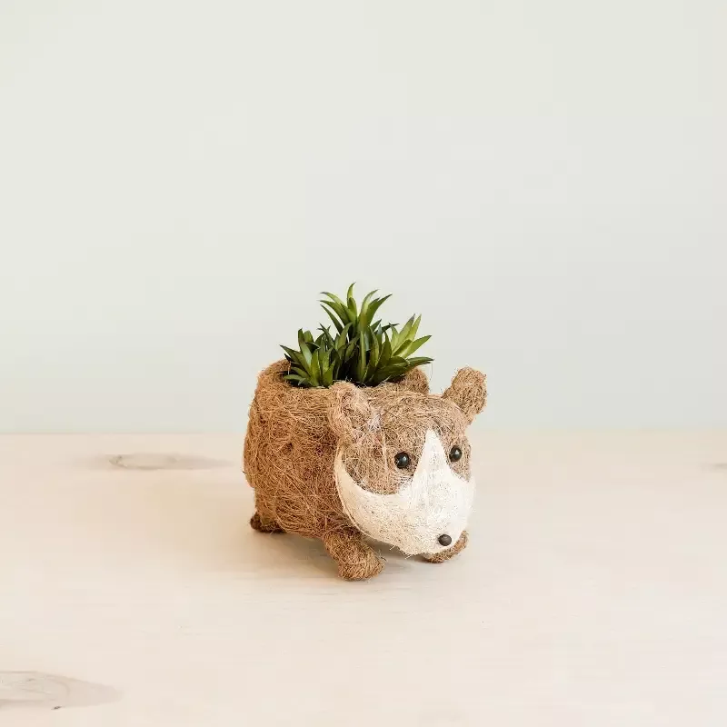 Baby Corgi Succulent Pot – Handmade Planters