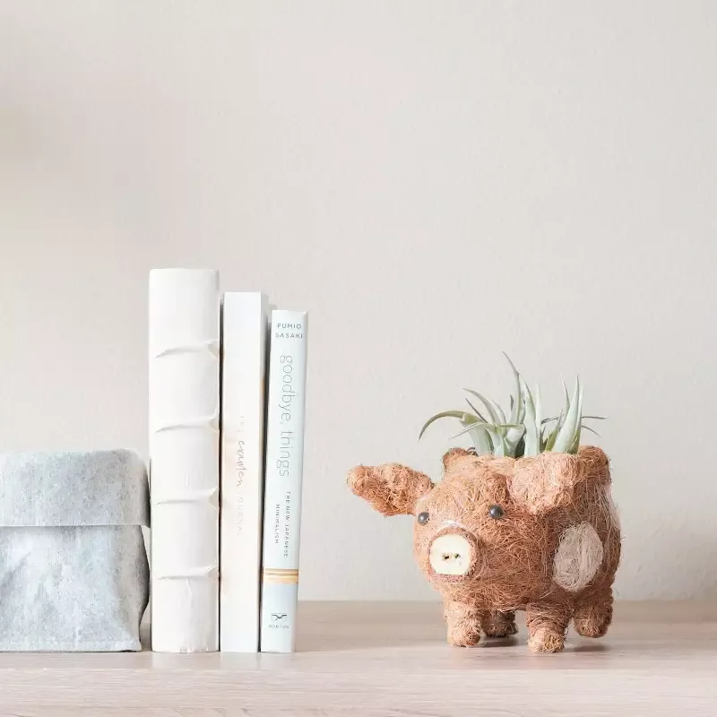 Baby Pig Succulent Pot – Handmade Planters