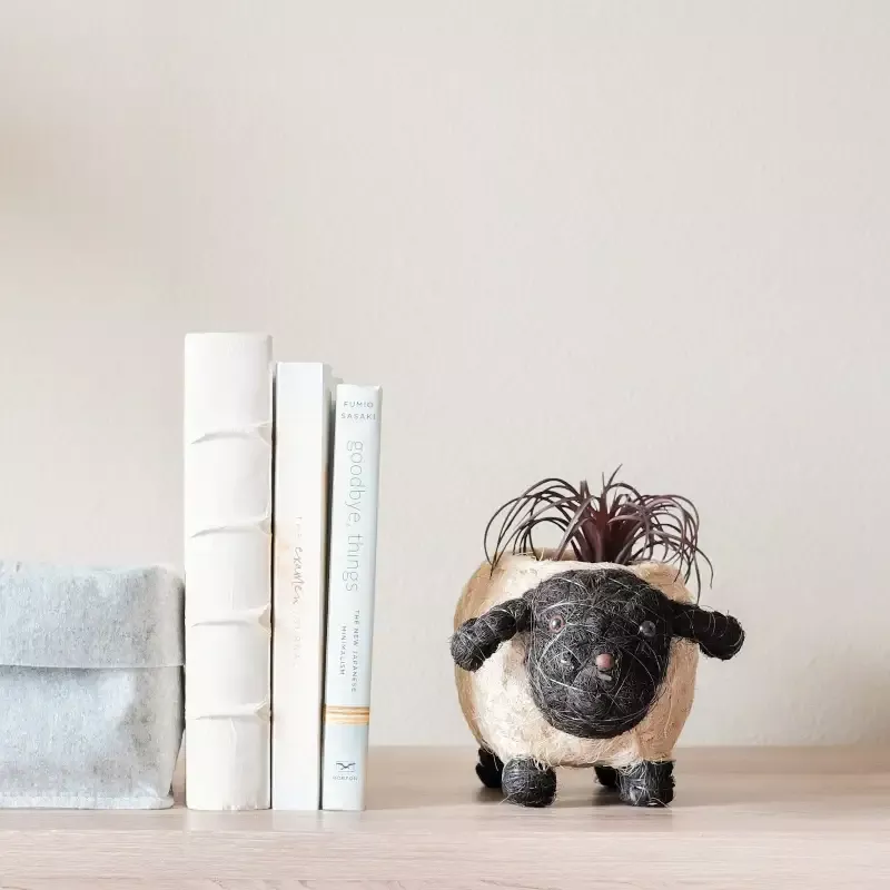 Baby Sheep Planter – Coco Coir Pots