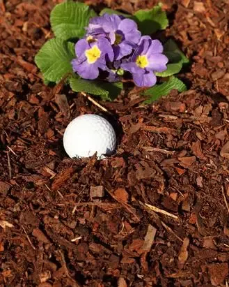 Bagged Pine Bark Mulch