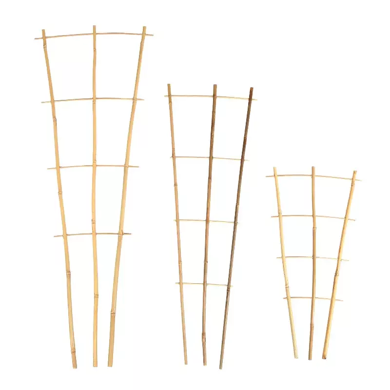 Bamboo Fan Trellis Plant Support – 2ft / 3ft / 4ft – 3 Pack
