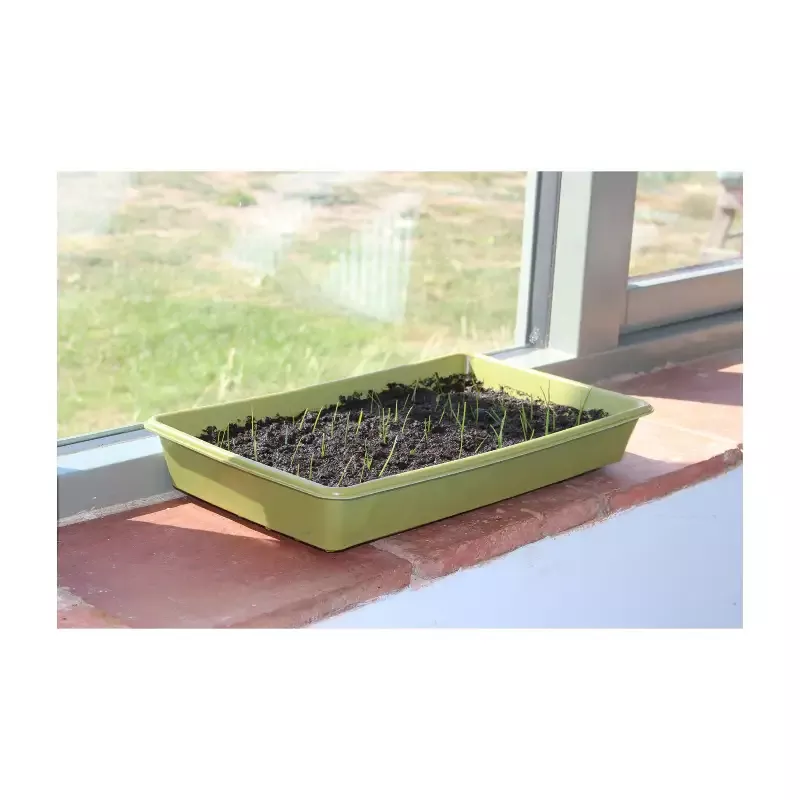 Bamboo Seed Tray 14.5″ L x 8.5″ W x 2.1″ D