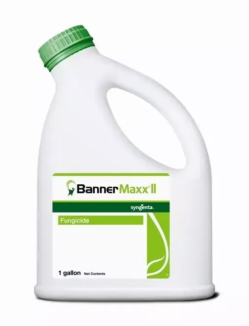 Banner Maxx II Fungicide
