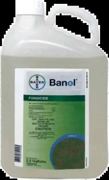 Banol Fungicide – 2.5 Gallon