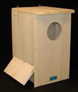Barred Owl House