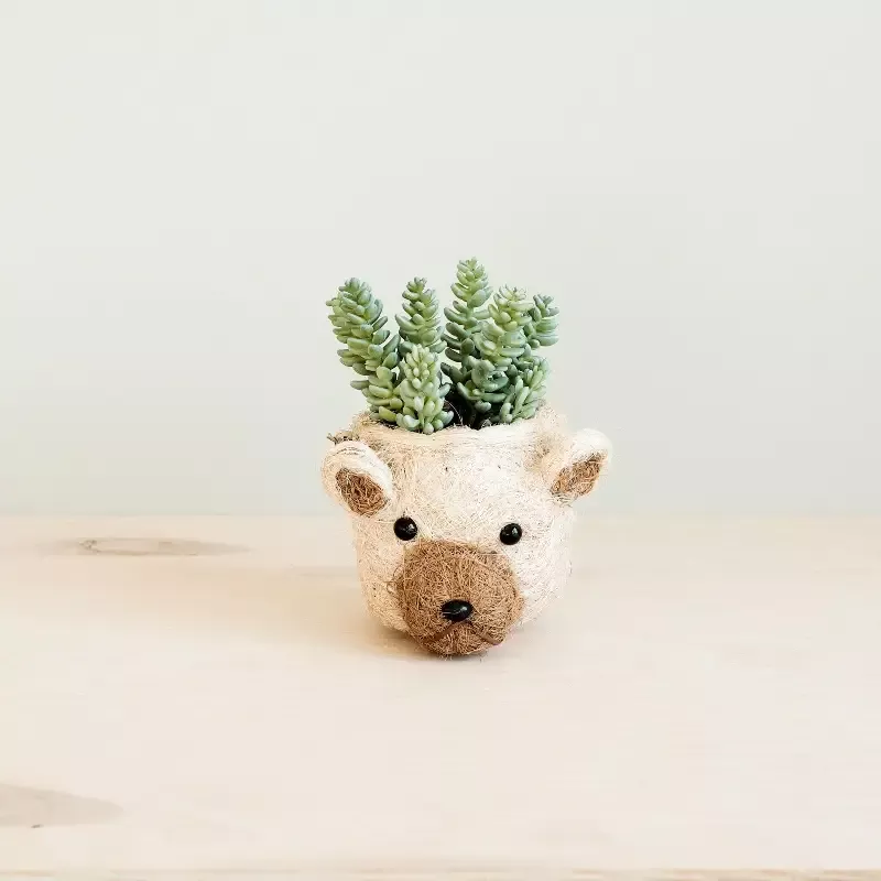 Bear Planter – Animal Head Planters