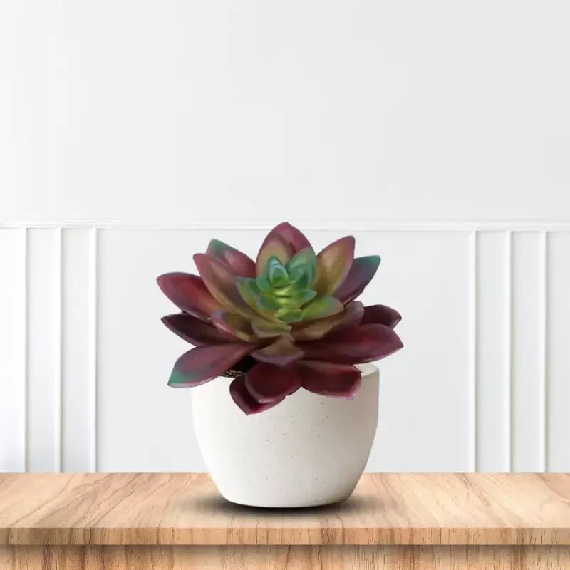 Beautiful Succulent in Ceramic Pot – Artificial ~ The Perfect Christmas Gift