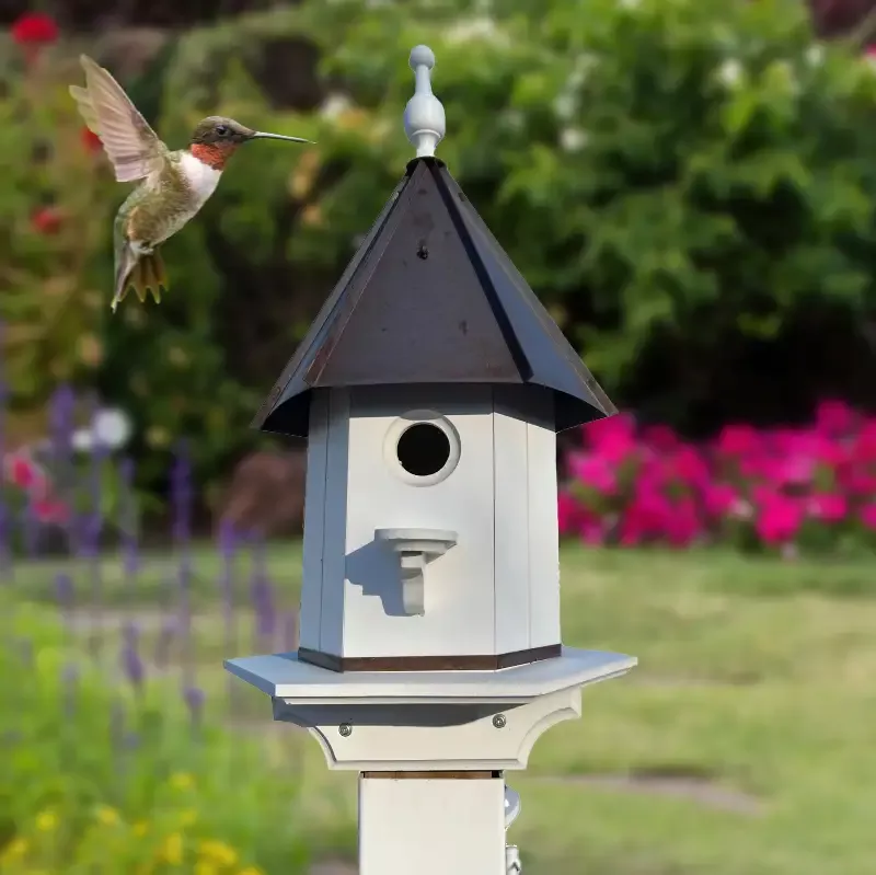 Bird House – White Sleeve 8′