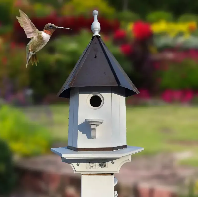 Bird House – Woodpecker House