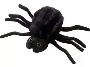 Bird Scare Spider
