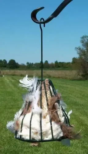 Birdie Bell Nester and Feeder