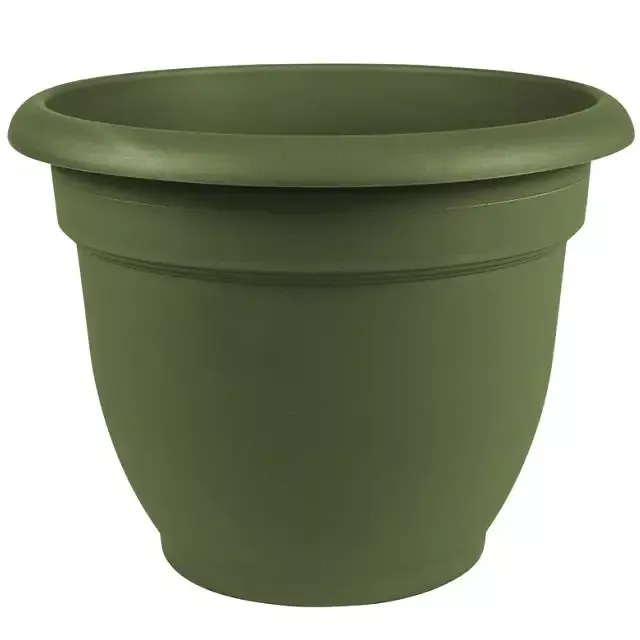 Bloem Ariana Plastic Self Watering Planter, 10″ Assorted Colors