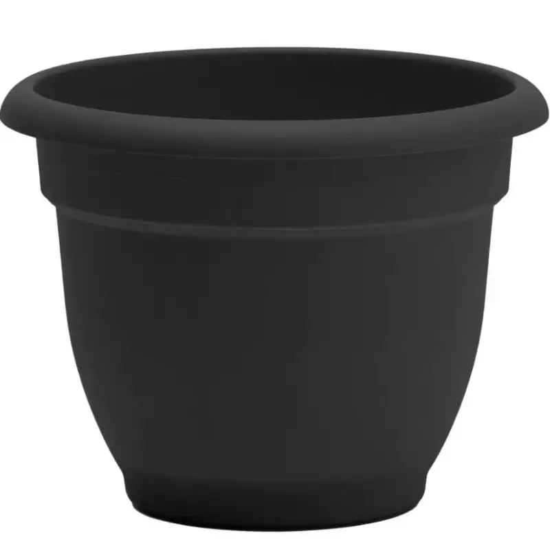 Bloem Ariana Plastic Self Watering Planter, 12″ Assorted Colors