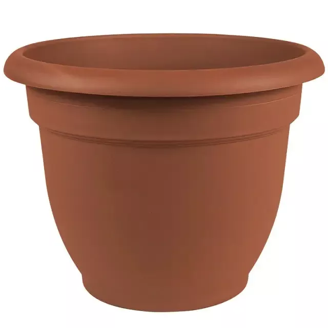 Bloem Ariana Plastic Self Watering Planter, 16″ Assorted Colors