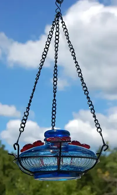 Bloom Perch Hummingbird Feeder- Aqua or Green