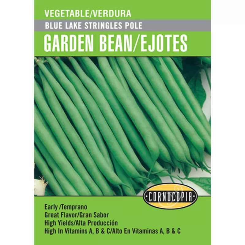 ‘Blue Lake Stringless Pole’ Garden Bean/Ejotes – English/Spanish