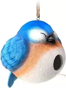Bluebird Birdhouse